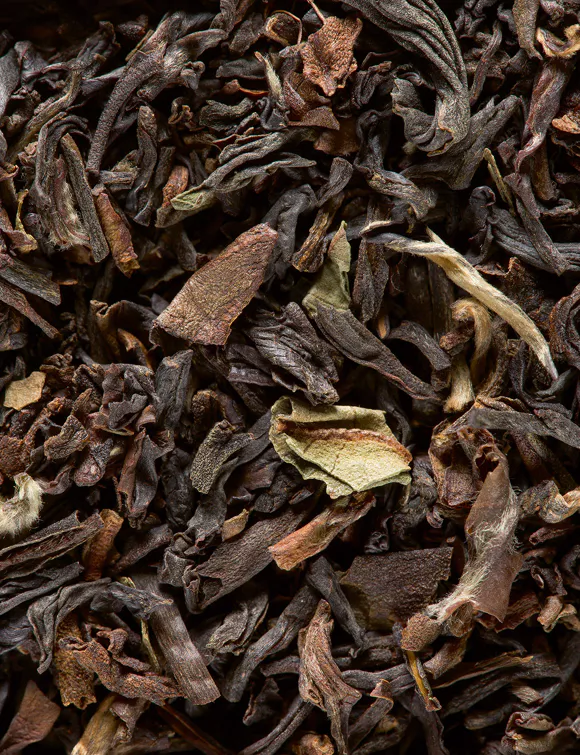 THÉ NOIR DARJEELING, 24 SACHETS CRISTAL® ENVELOPPÉS