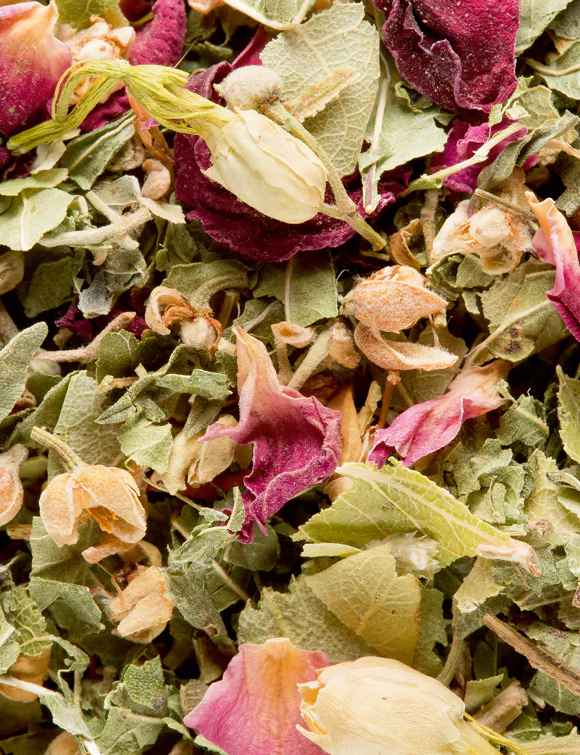 TISANE BALI, 24 SACHETS CRISTAL® ENVELOPPÉS