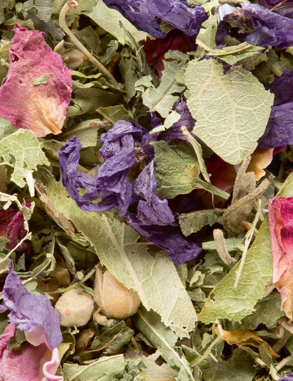 TISANE DES MERVEILLES, 24 SACHETS CRISTAL® ENVELOPPÉS