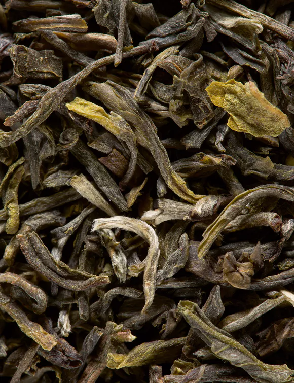 THE VERT YUNNAN, 24 SACHETS CRISTAL® ENVELOPPÉS