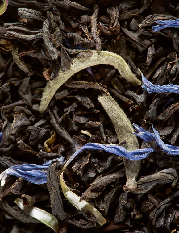 EARL GREY YIN ZHEN, 24 SACHETS CRISTAL® ENVELOPPÉS