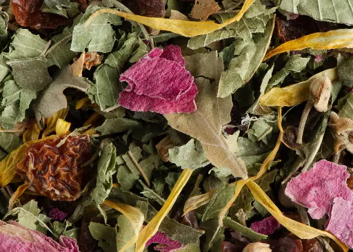 Tisane Nuit à Versailles 