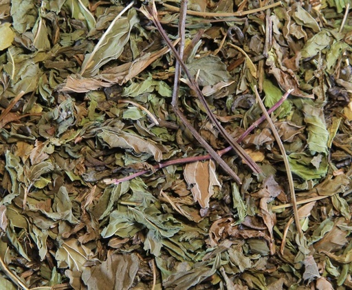 THÉ VERT – Menthe